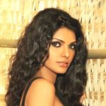 Sherlyn Chopra Height, Age, Boyfriend, Husband, Family, Biography & More