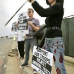 Nasim Aghdam Animal Rights Activist