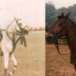 Ajay Piramal, a horse lover
