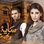 Bilal Abbas Khan- Saya e Dewar Bhi Nahi